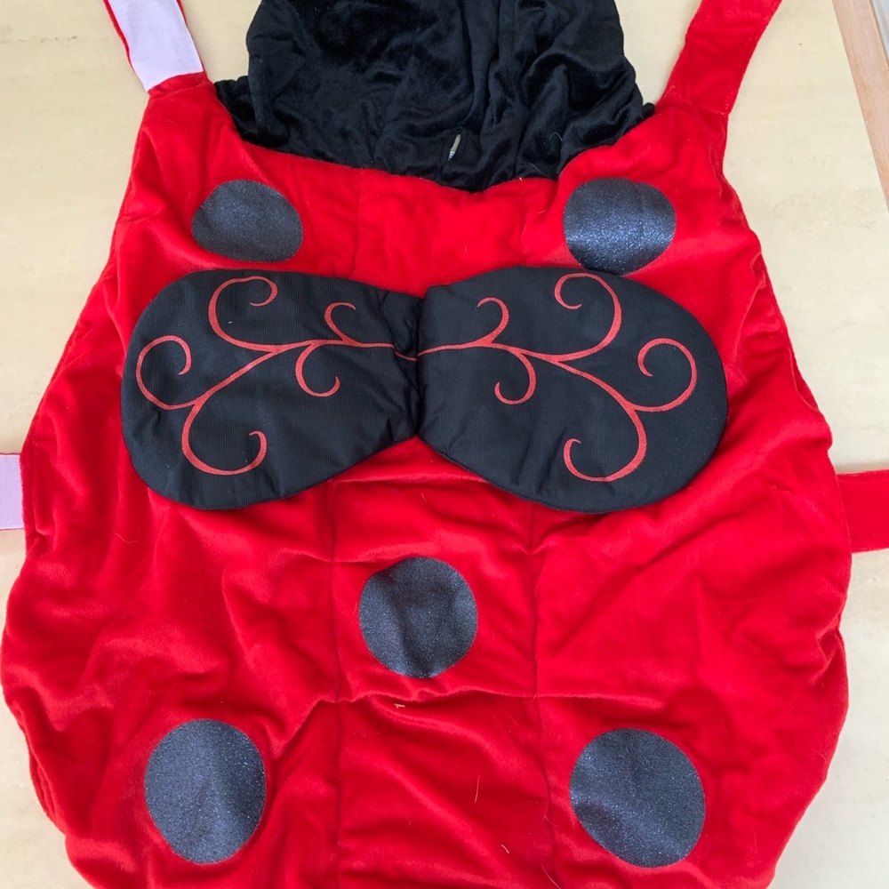 Halloween ladybug dog costume XXL large dog